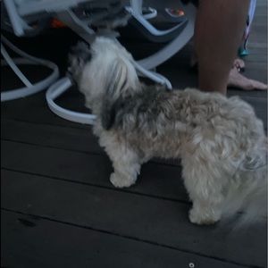 Meet your Posher, Jt